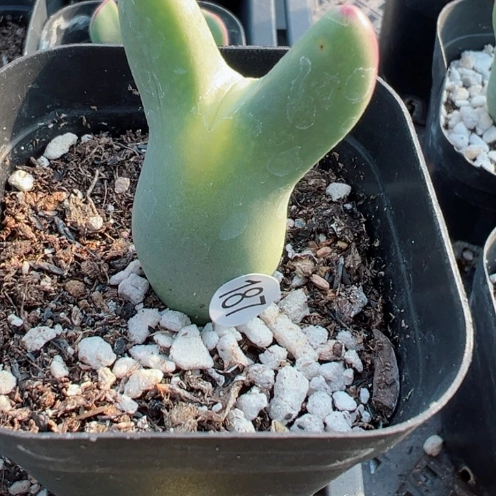 187好11111111111111