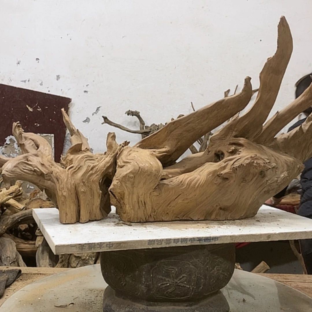 【闪购商品】柏木厚*厚我们都是好孩子