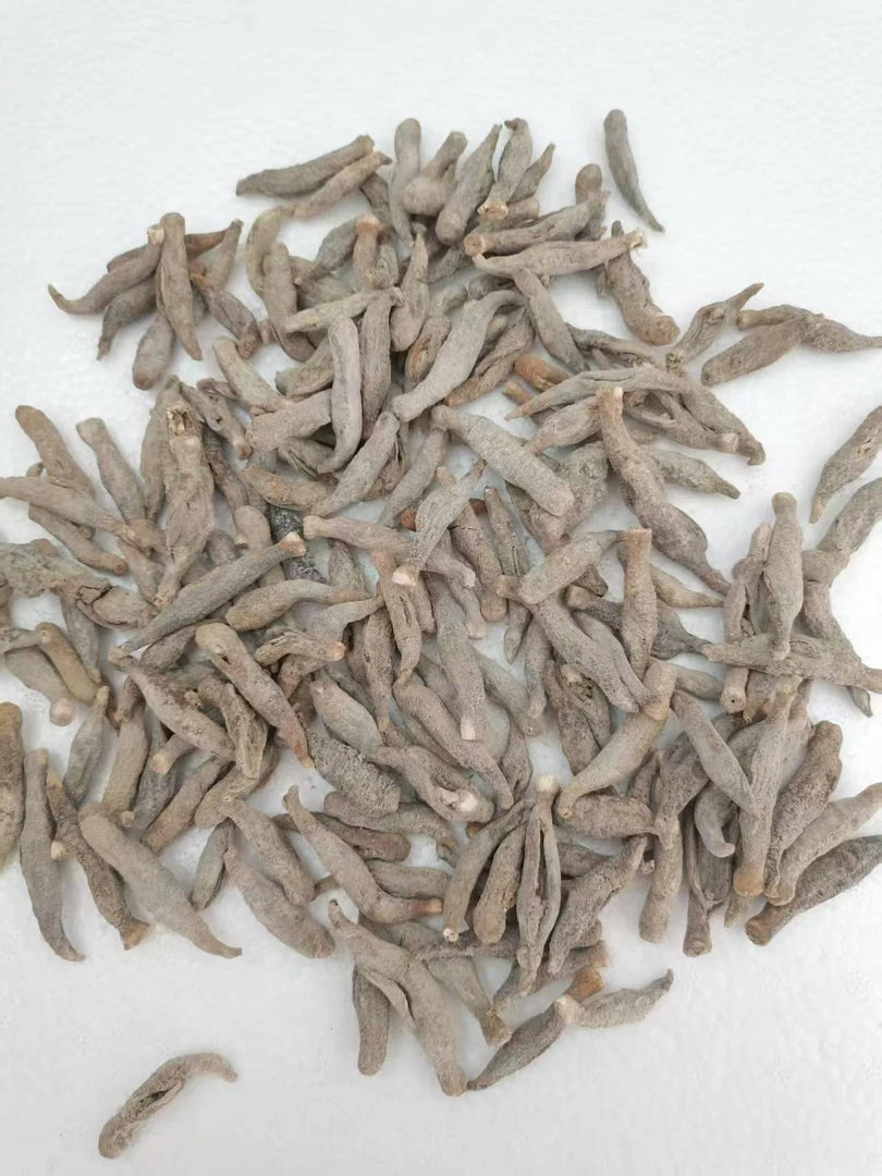 天然野生纯淡干尖嘴海参福利满满