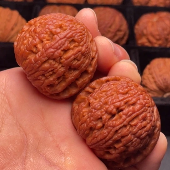 文玩核桃把件秦岭山脉核桃