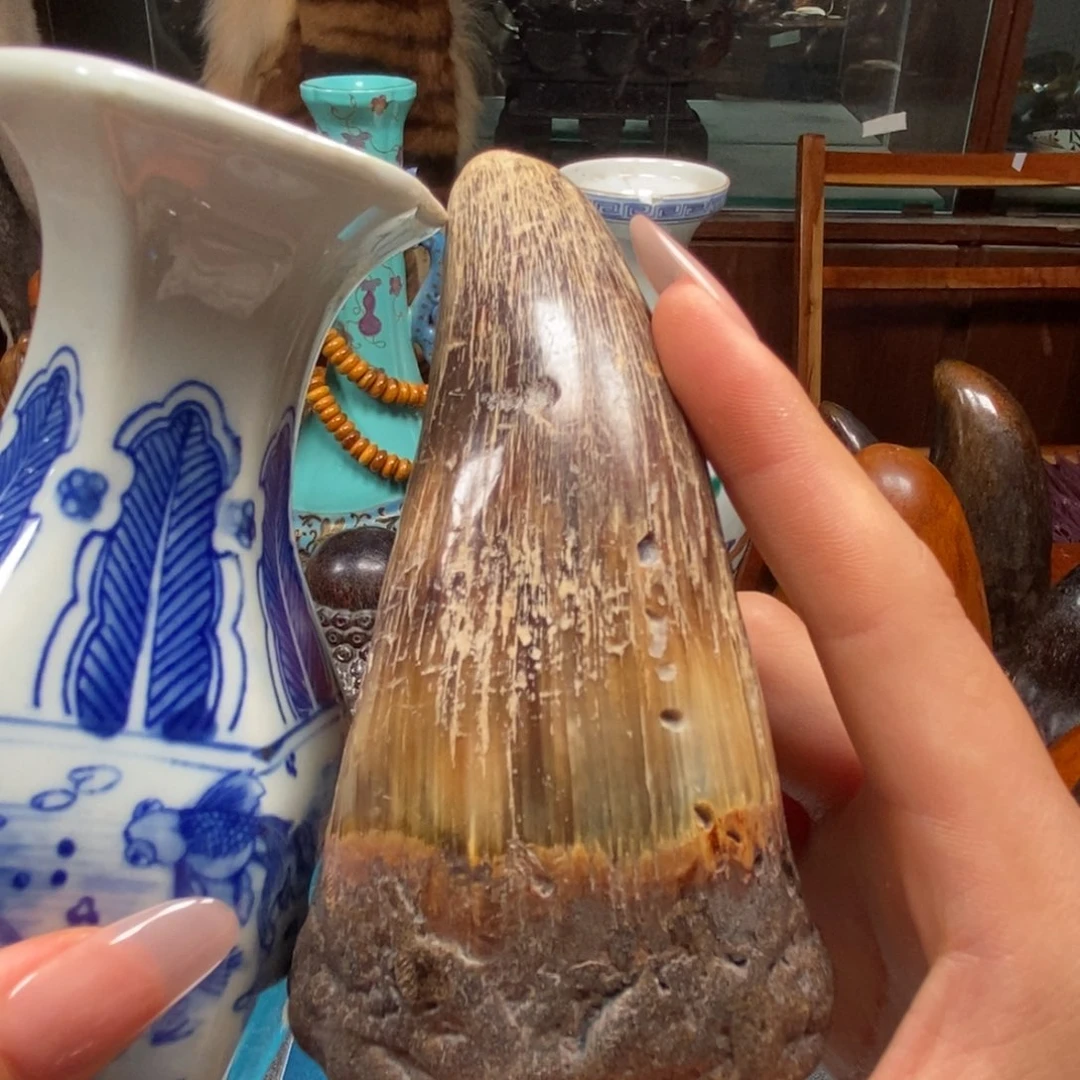 主播节目主持人和主持人的