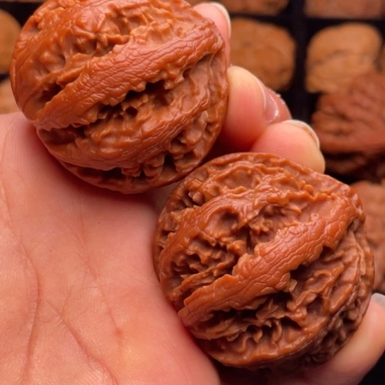 文玩核桃把件秦岭山脉核桃