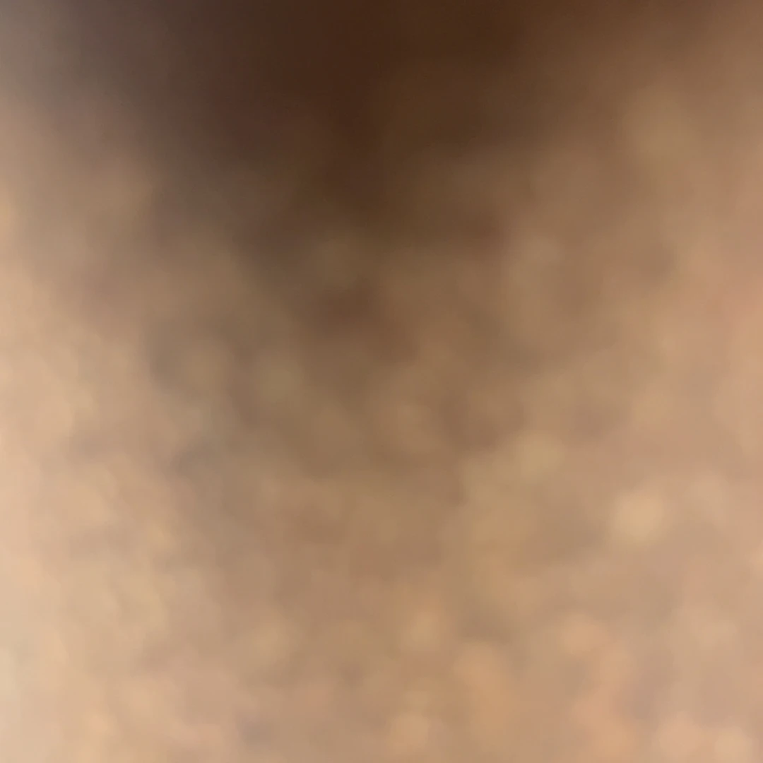 了***然高温正宗手工花盆