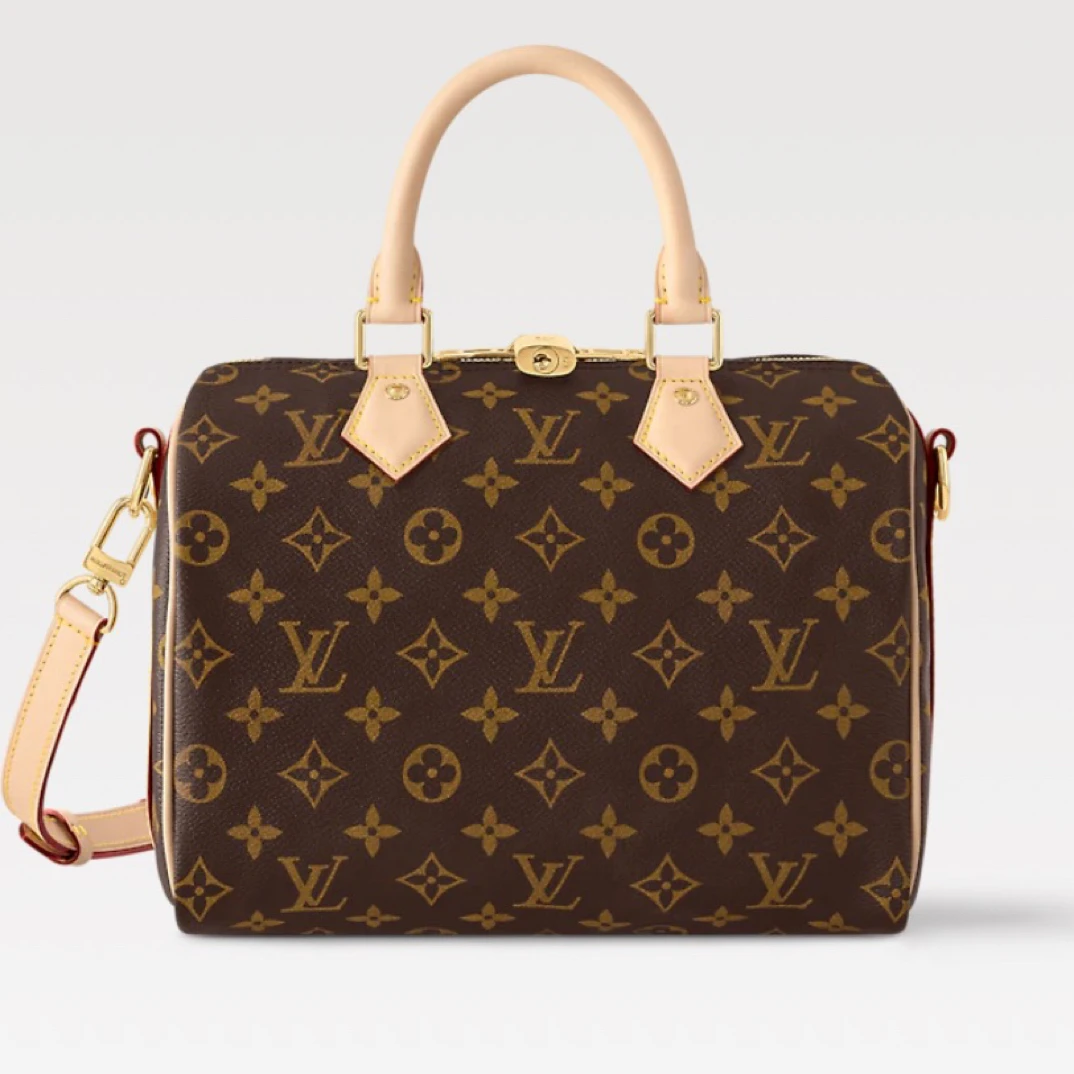 95新 LouisVuitton/路易威登 speedy25 肩带款老花 缺钥匙/JW8522