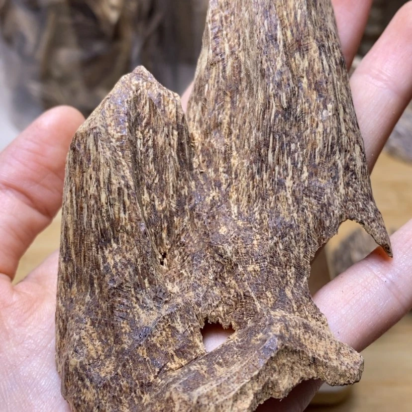 【闪购商品】香榧木海南15.6克