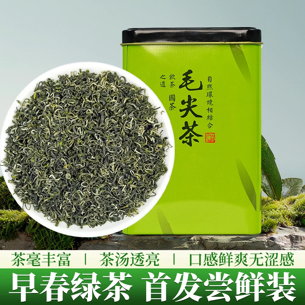 （毛尖春茶）25年平利女娲毛尖春茶安康茶紫阳汉中陕南爽清香栗香