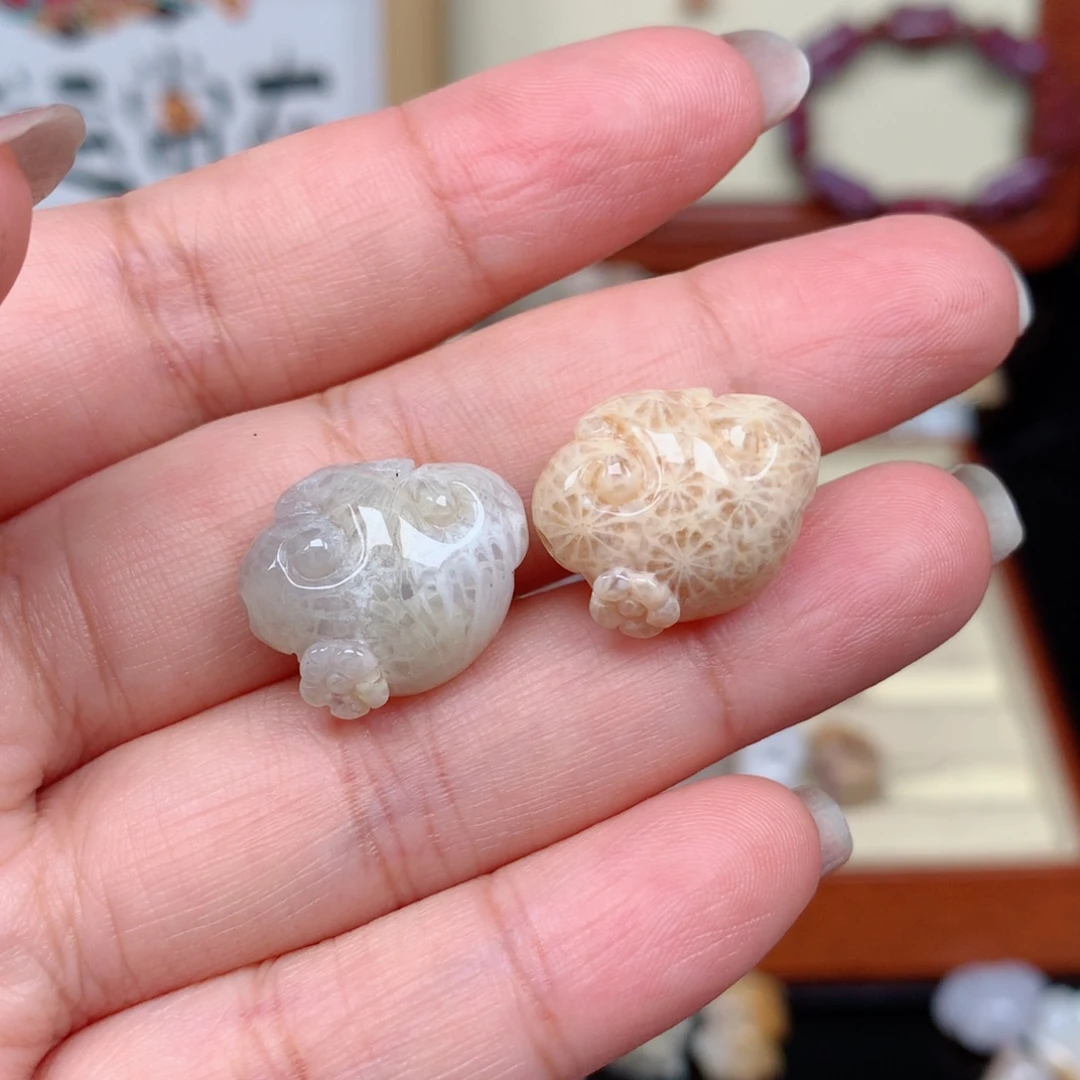 硅化玉珊瑚玉未镶嵌