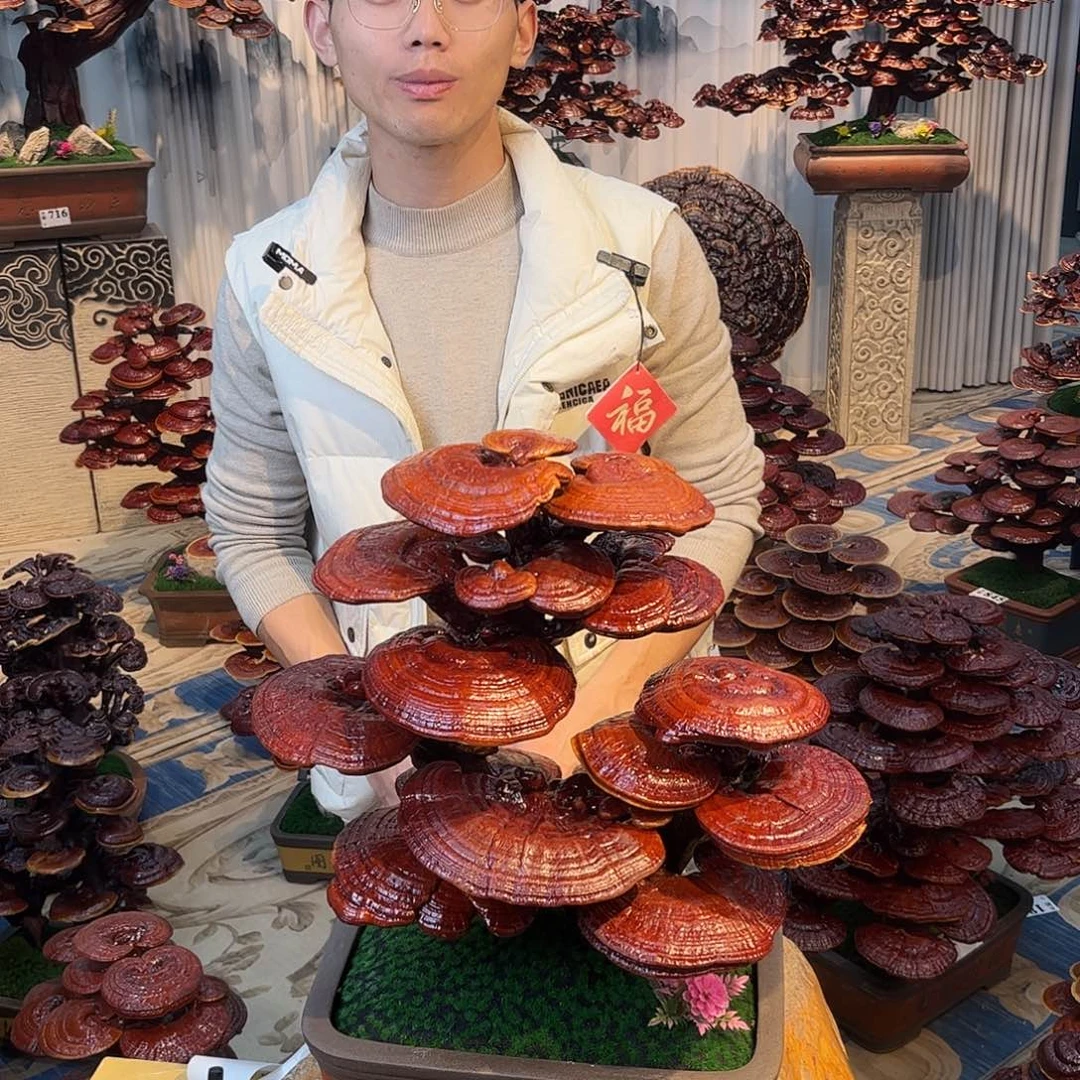 无花朵888888888888