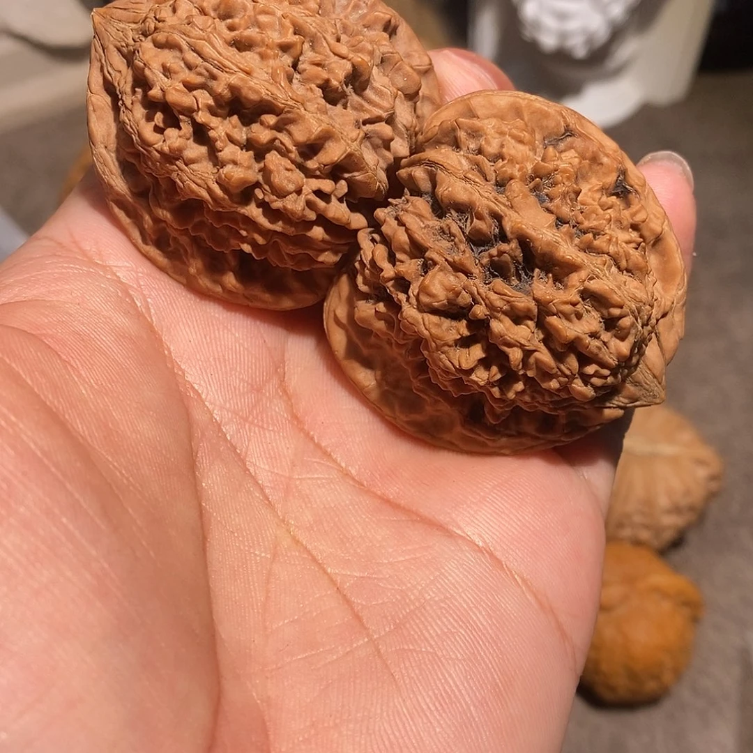 核桃把件45全品满天星