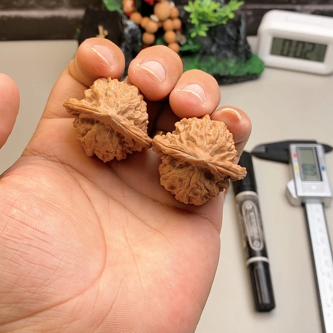 凤眼菩提手串文玩核桃