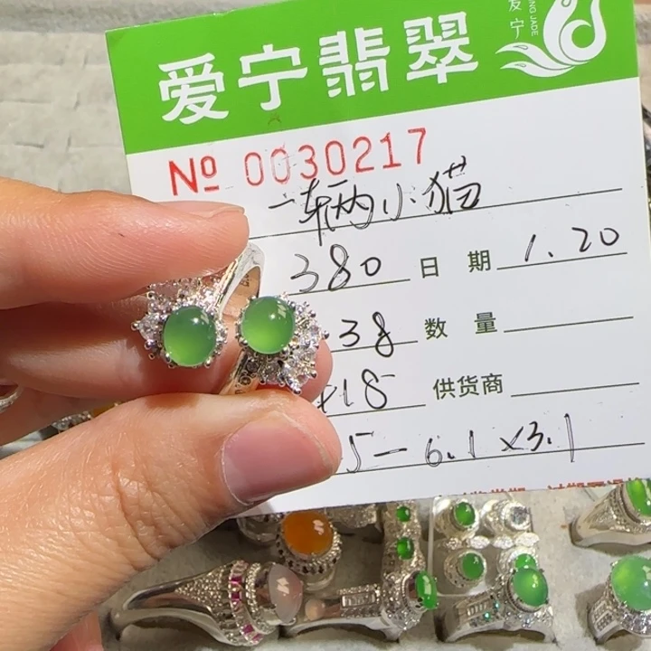 定制翡翠未镶嵌一**猫