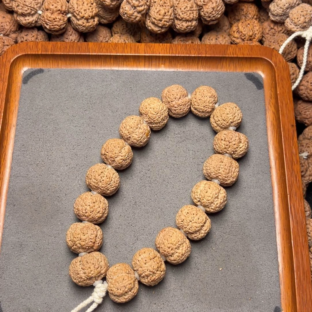 菩提8号尼泊尔大金刚20五星熊猫菠萝蜜