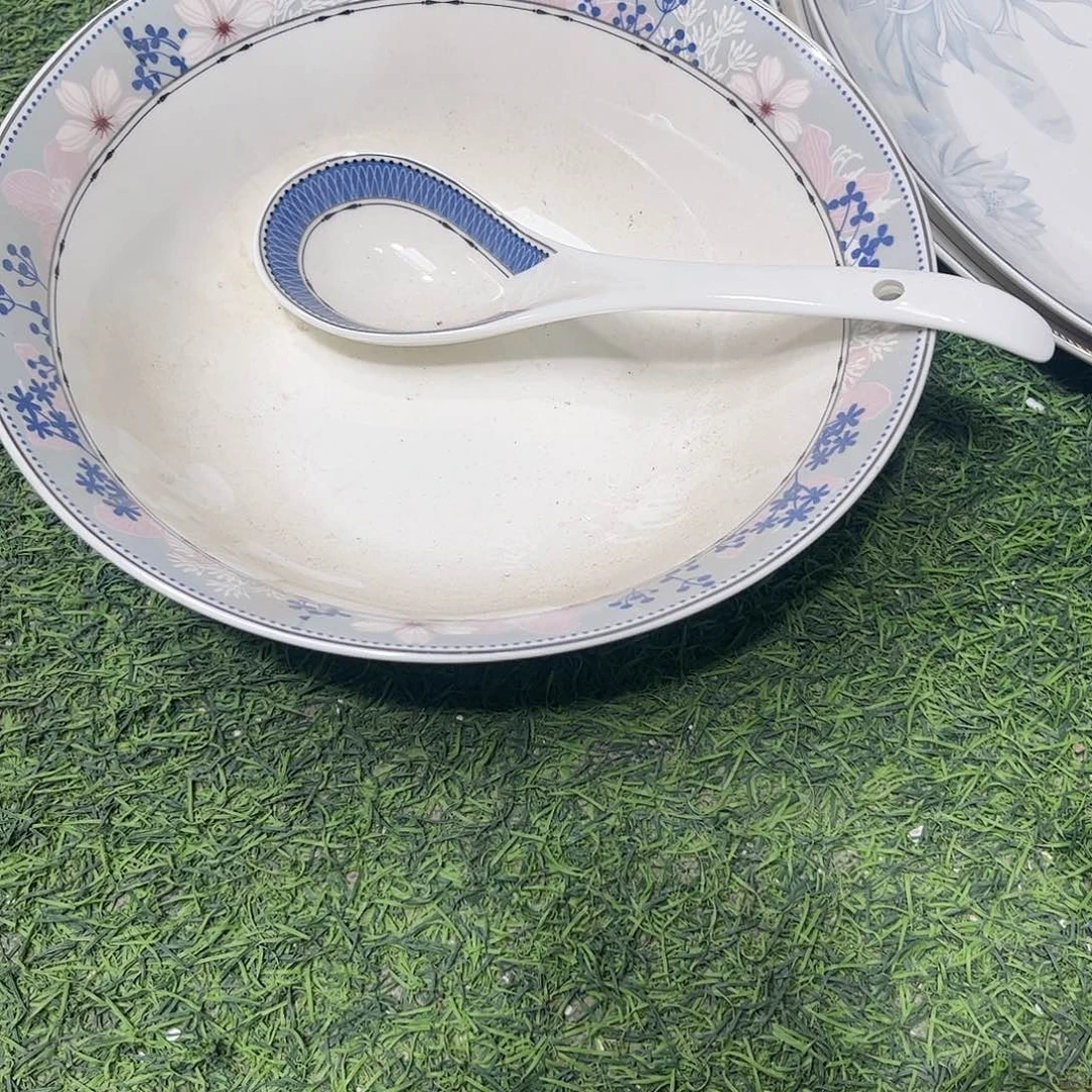 瓷片拽****汤碗一个带大勺