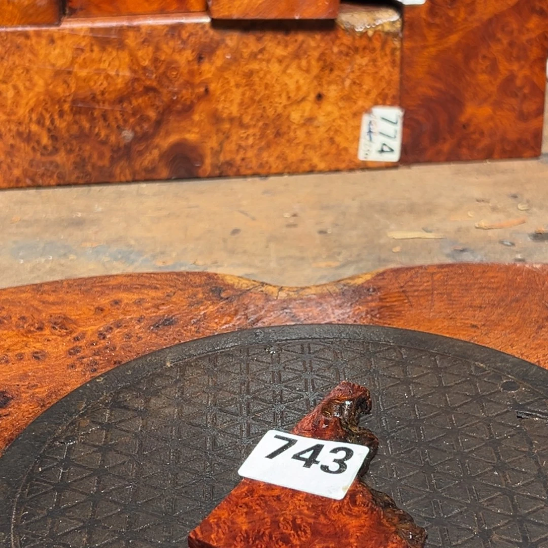 匏***缘大果紫檀（缅甸花梨）