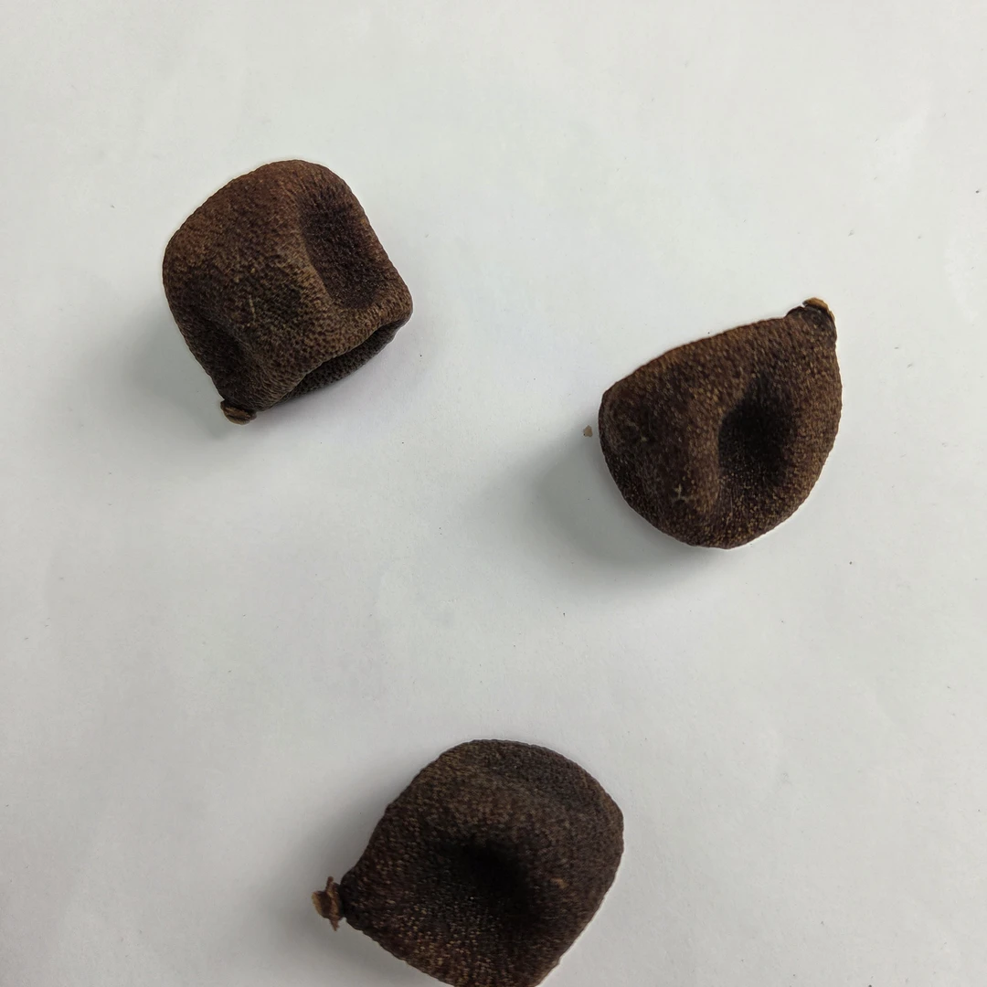 2025年东甲原枝小柑宝生晒新会正品陈皮