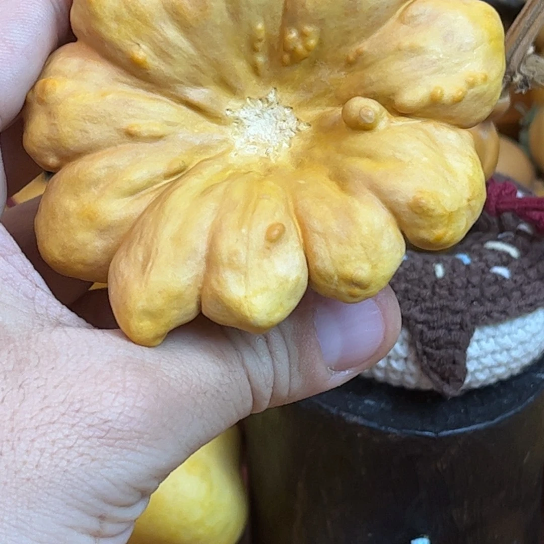 龙**宝葫芦头一条路一家专业人士表示