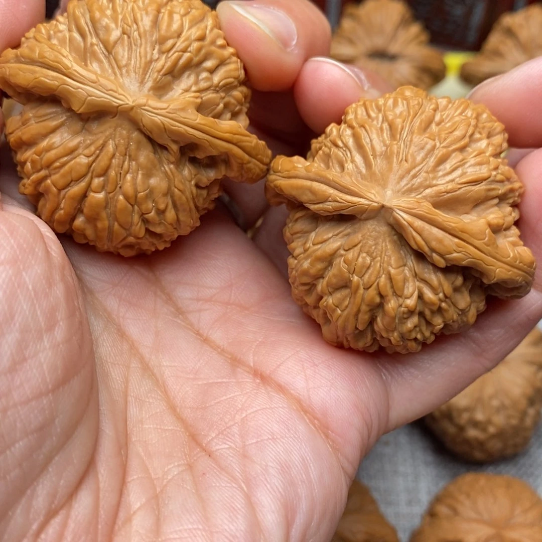 文玩核桃把件毕业肉球白狮子45尺