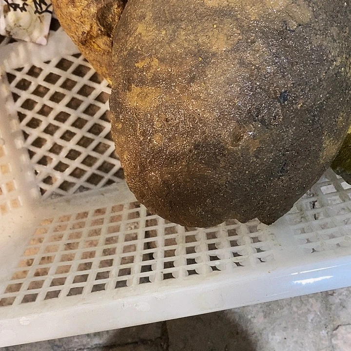 定制玛瑙真****厂好咯哦呜图是