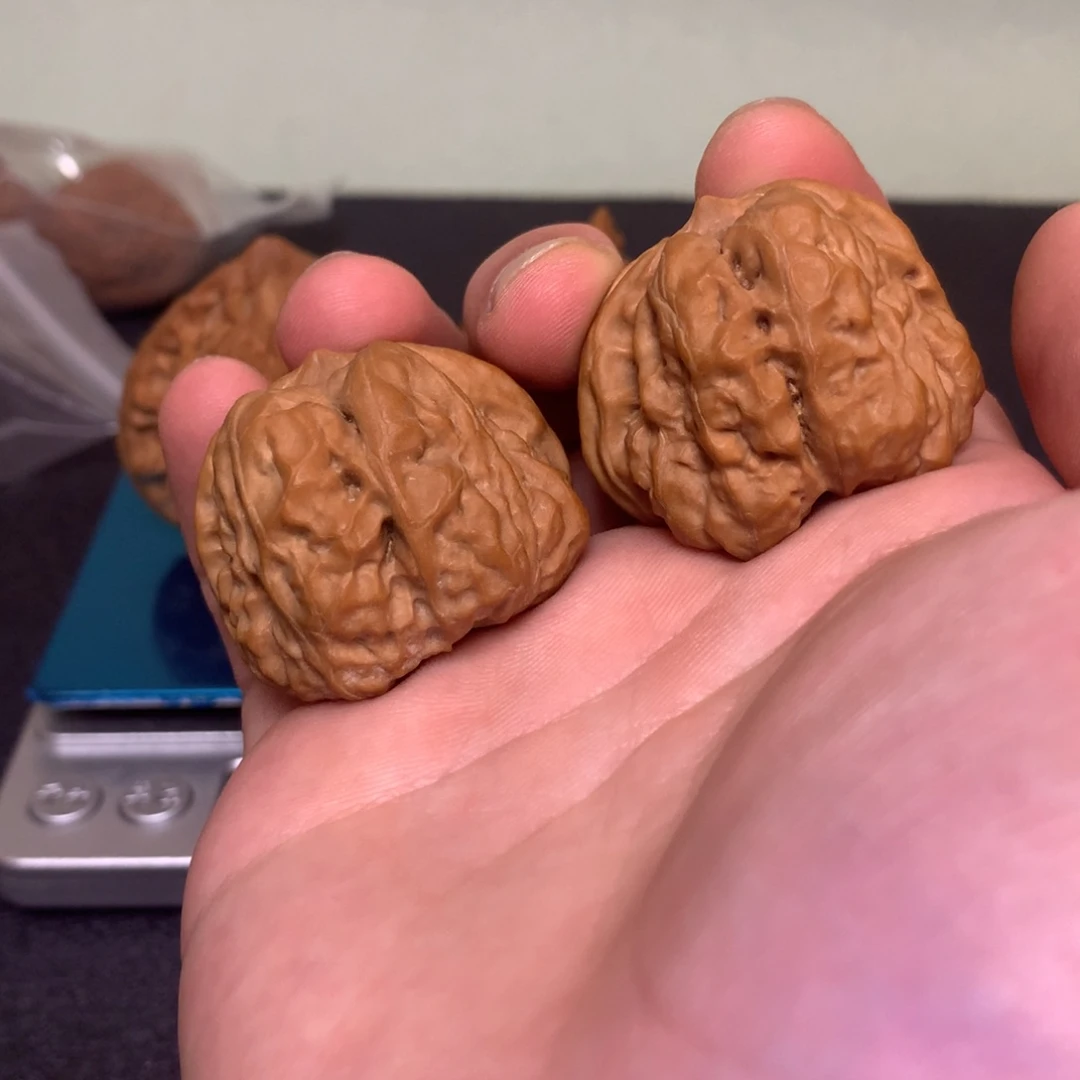 文玩核桃把件38全品延庆蛤蟆头