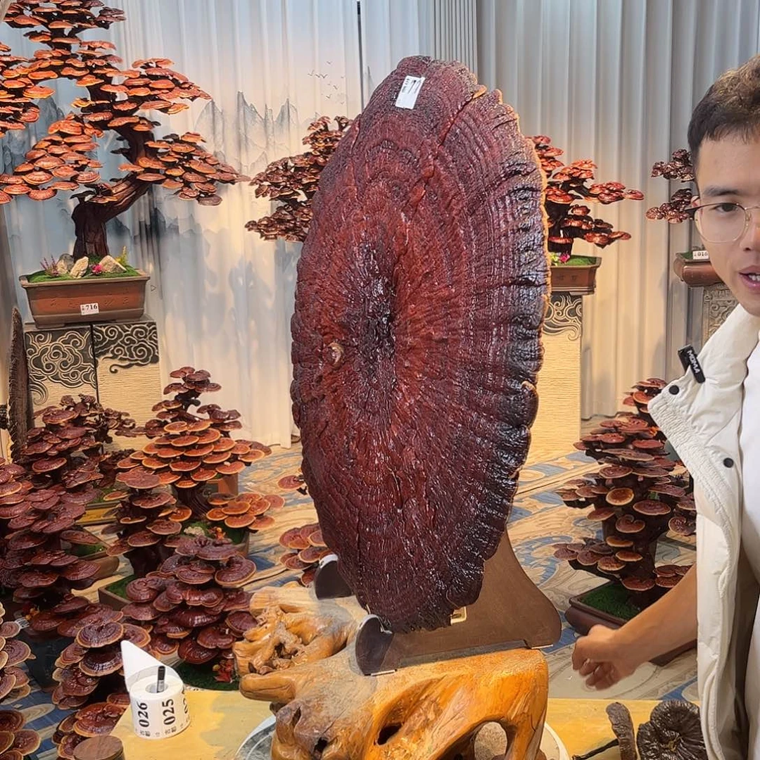 无花朵88888888888