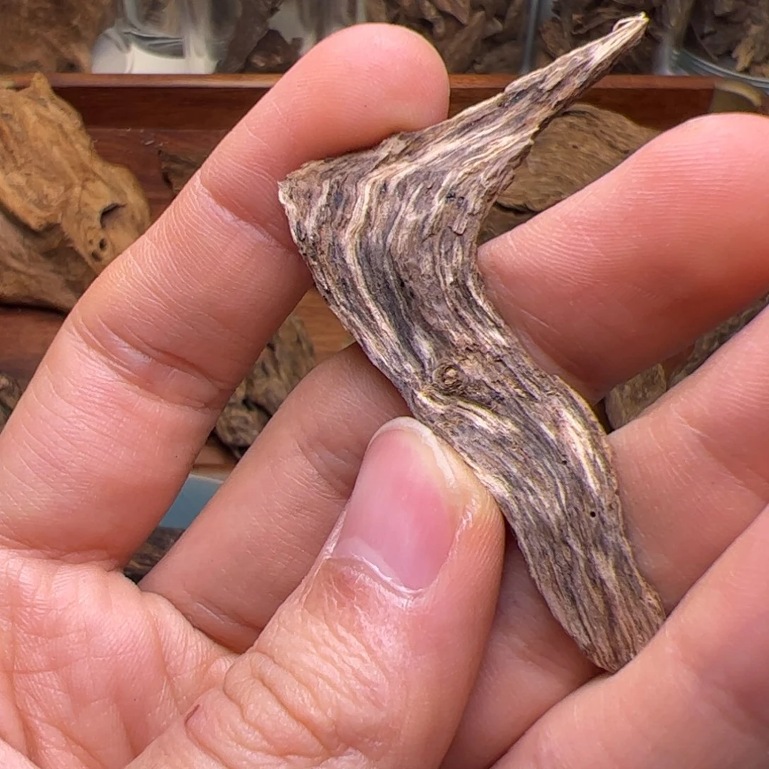 香料柬埔寨戈公皮油1克