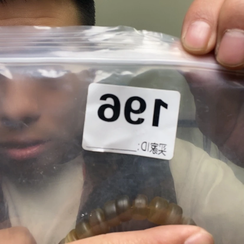 【闪购商品】大果紫檀（缅甸花梨）196大