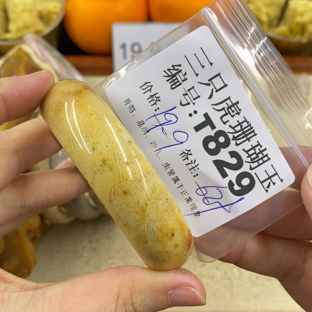 硅化珊瑚（珊瑚玉）1未镶嵌?****
