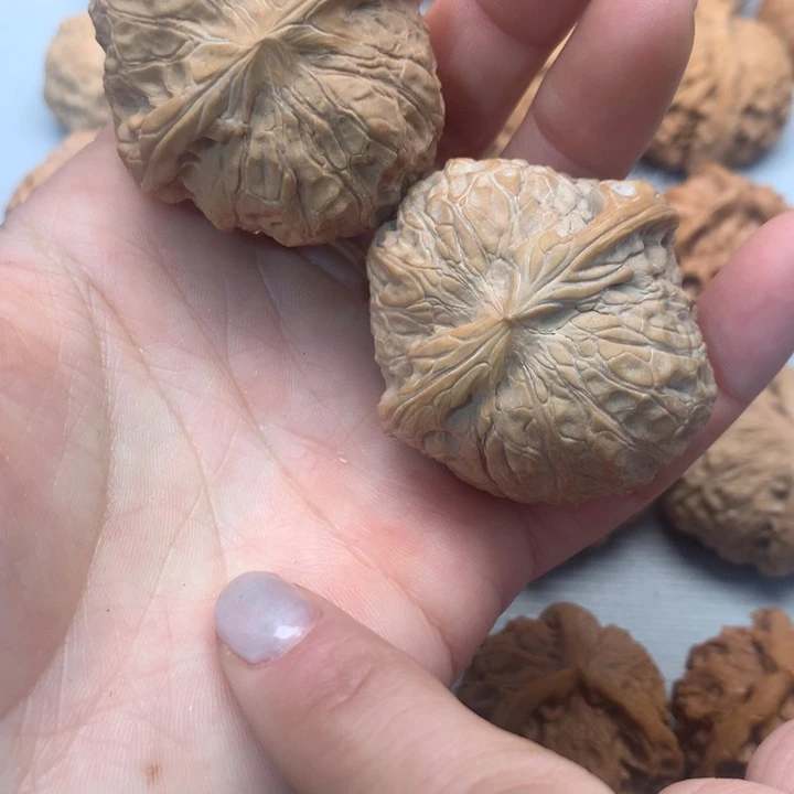 文玩核桃把件南瓜墩43