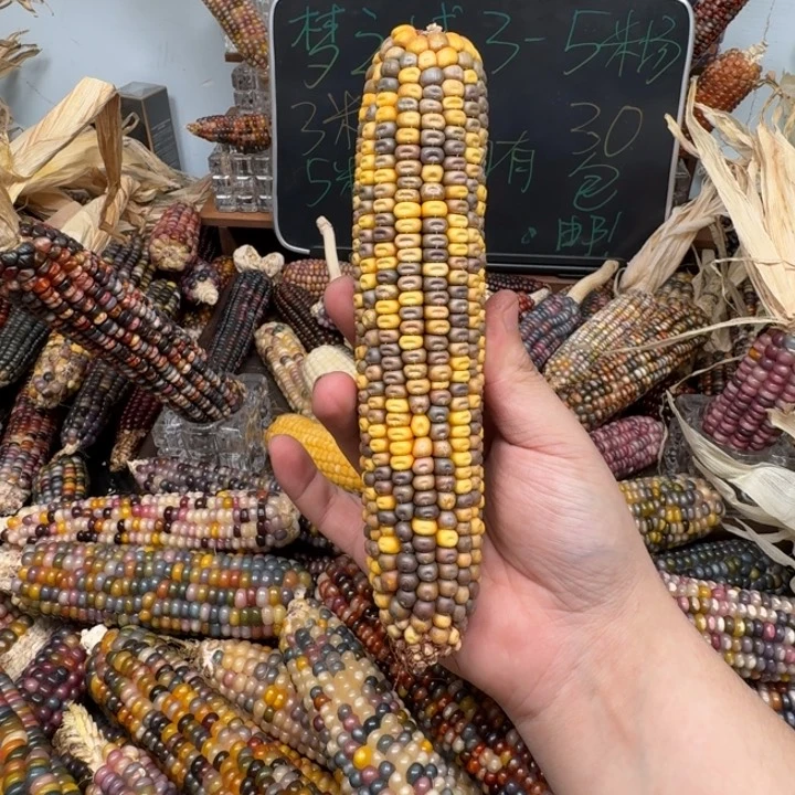 柏香籽/百香籽吊坠?***U