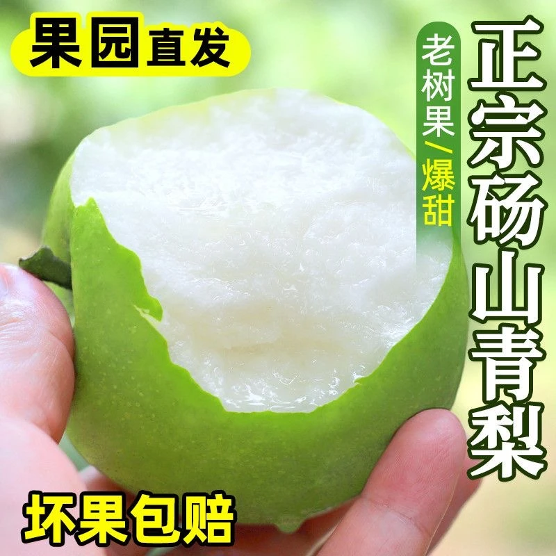 【顺丰包邮】新鲜砀山青梨蜜梨皇冠梨翠冠梨新鲜青梨子水果