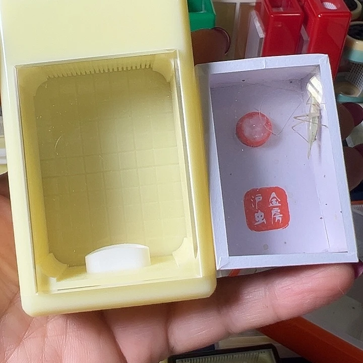 火***反蟋蟀哈哈哈哈哈哈哈哈哈哈哈