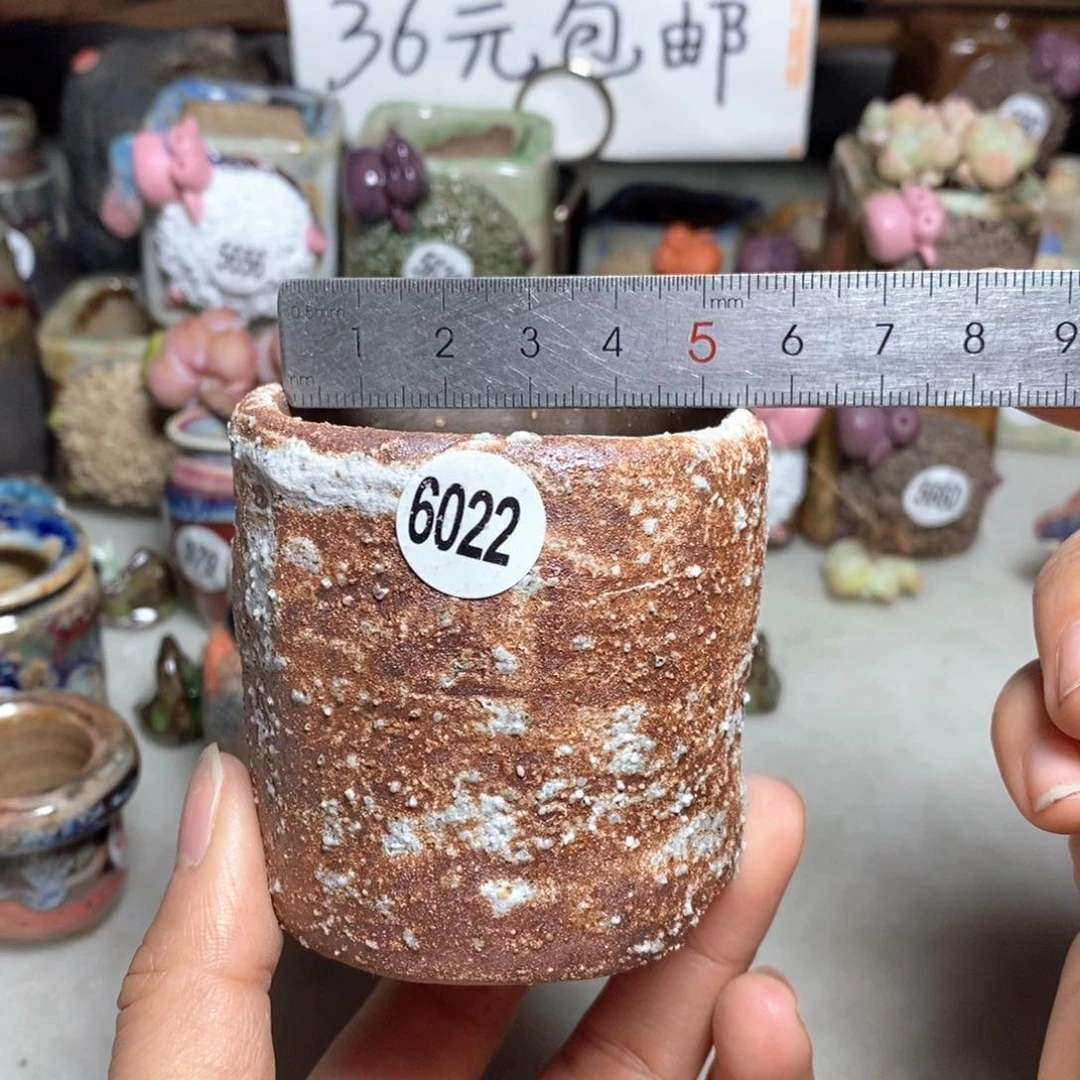 拍3送一个小礼物