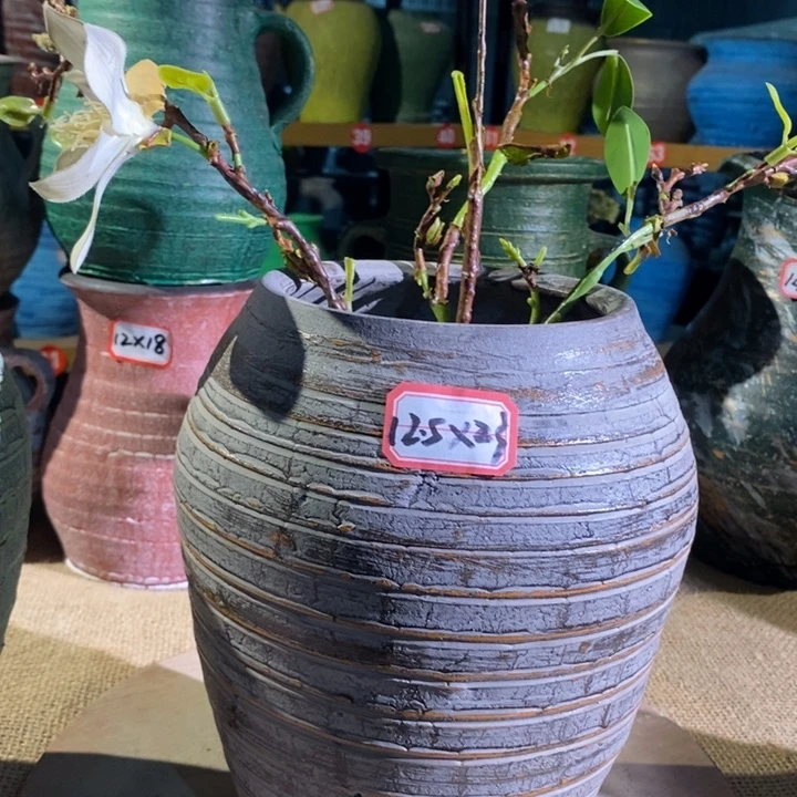 【闪购商品】正品现货