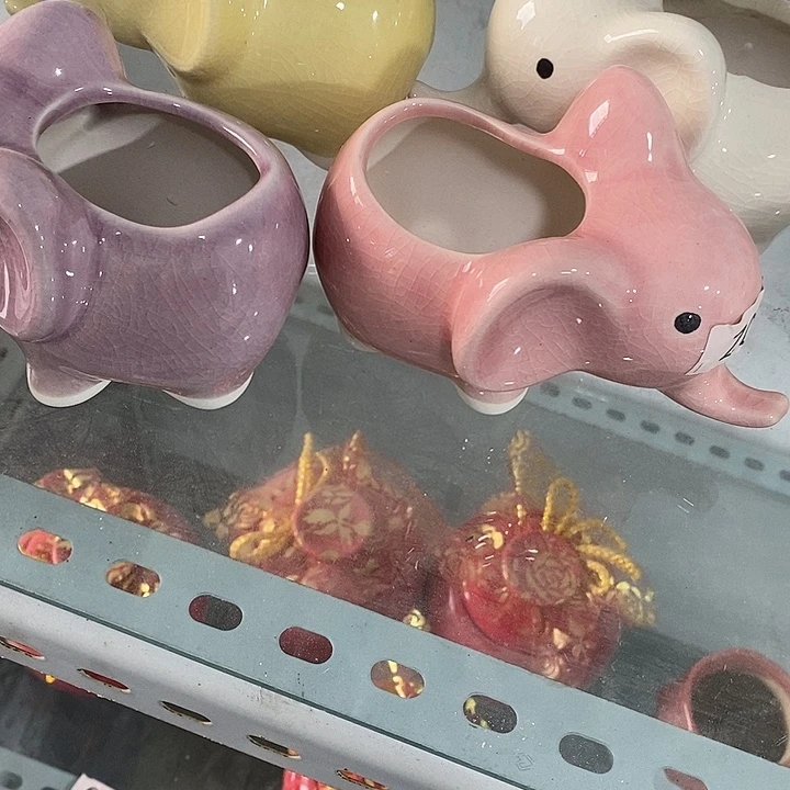 花盆抢购清货马上开始