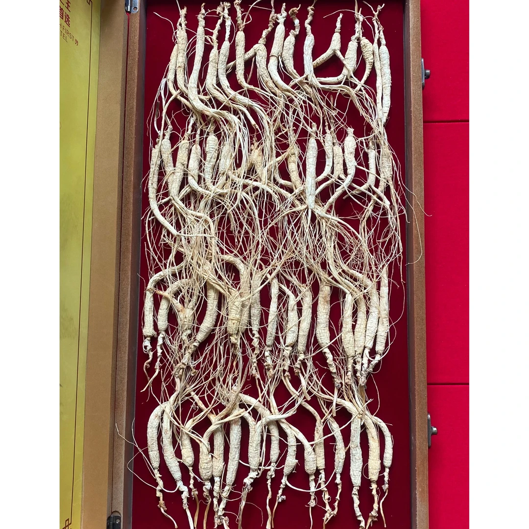 长白山林下参泡酒礼盒高龄籽参送礼自用滋补佳品1盒60支15年左右