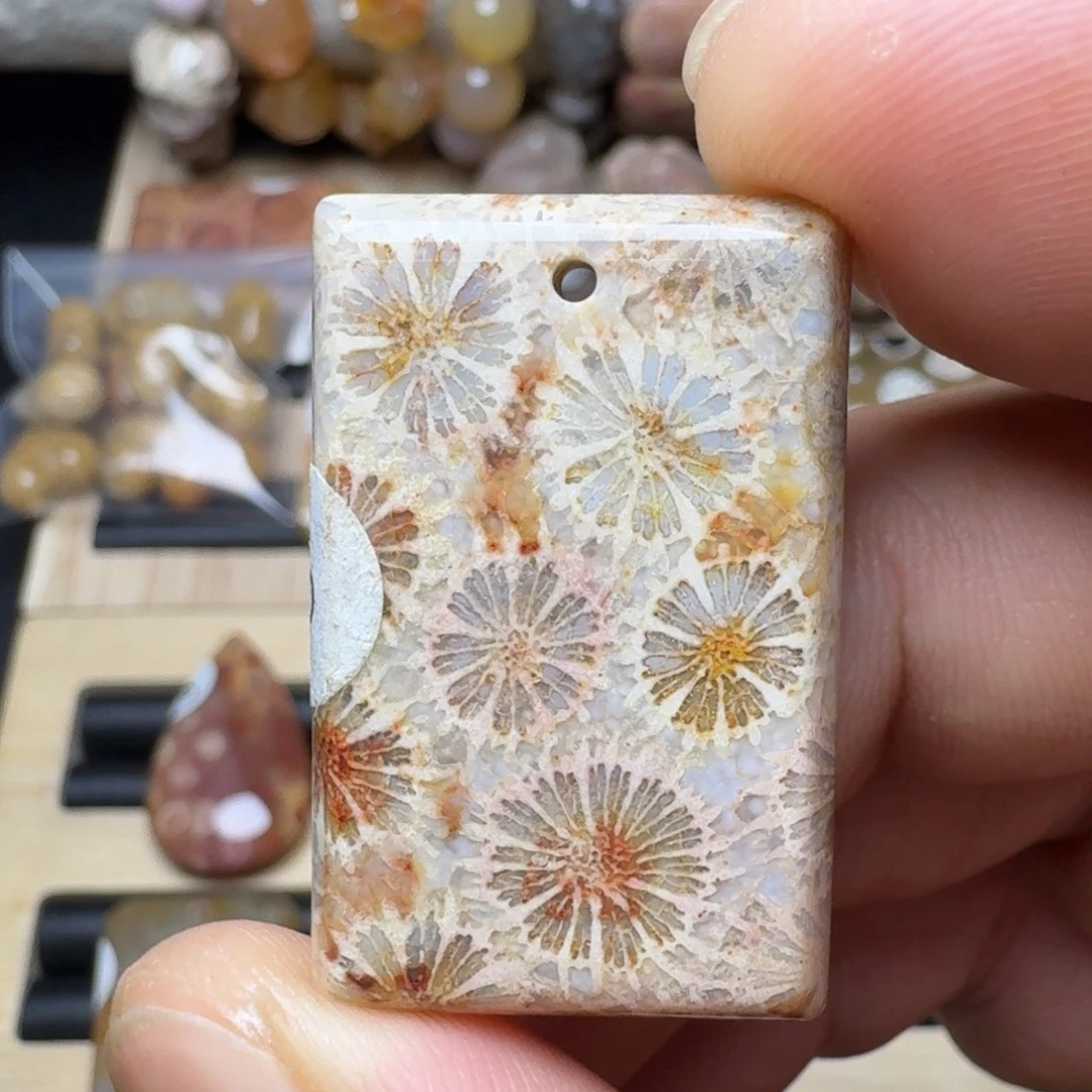 硅化珊瑚（珊瑚玉）未镶嵌纯天然色有机玉石保真色