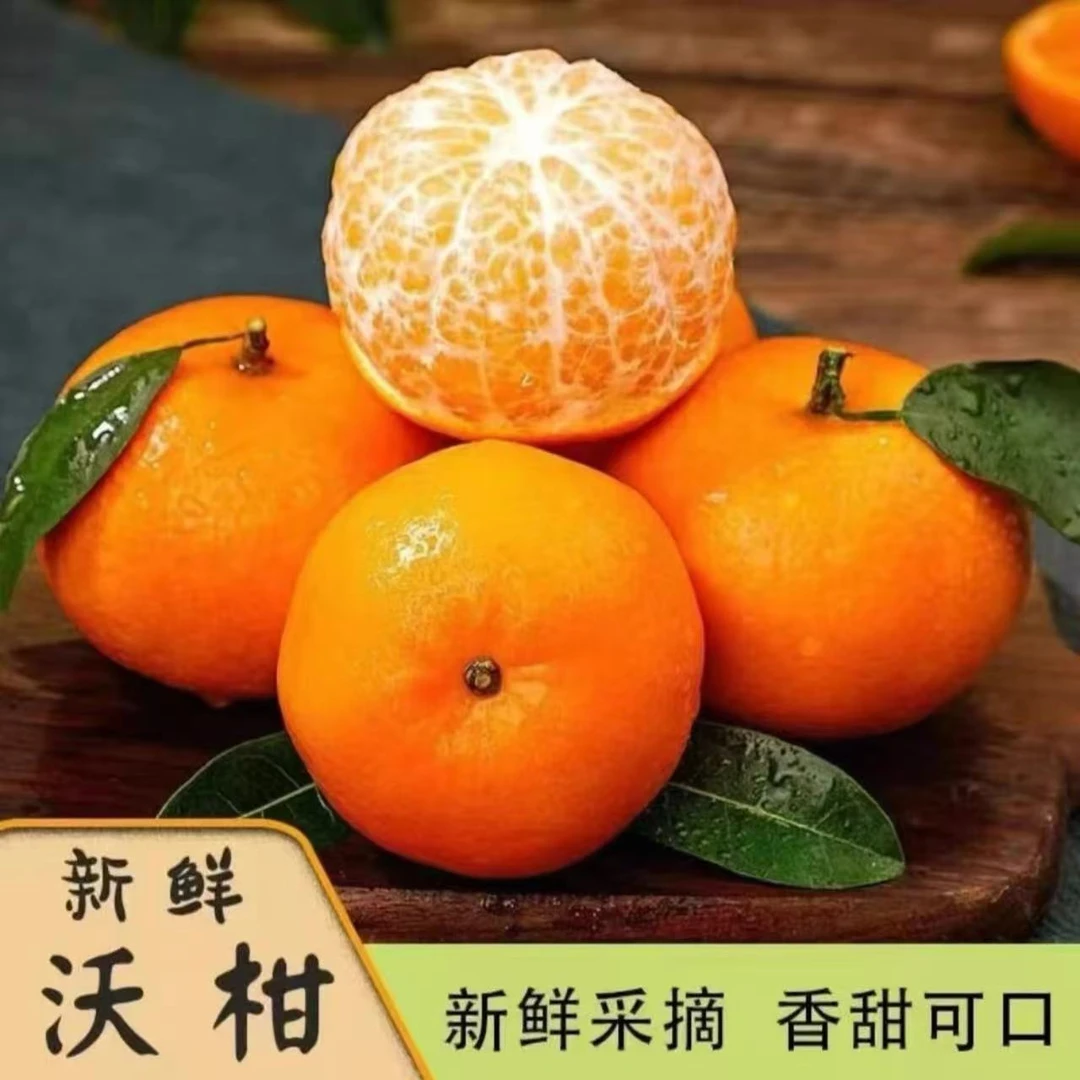 广西高山沃柑香甜新鲜水果当季多汁柑橘