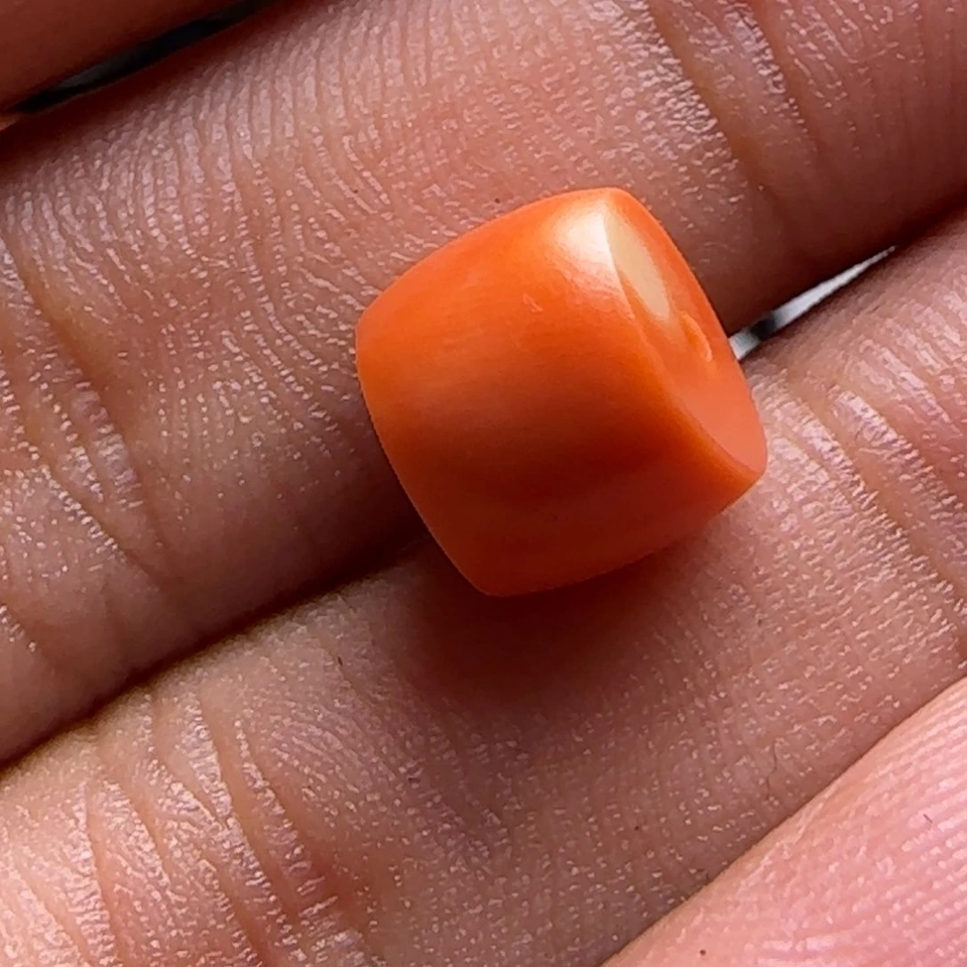 杜*商品7号链接………