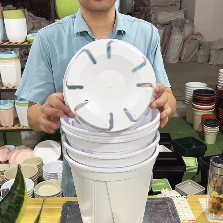 青山口24高24白色无托5个