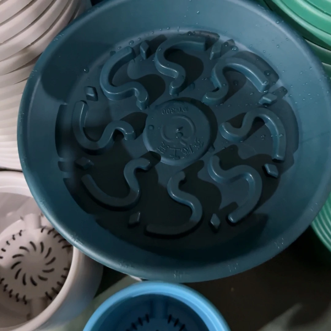 树脂S****°240托盘果绿8个