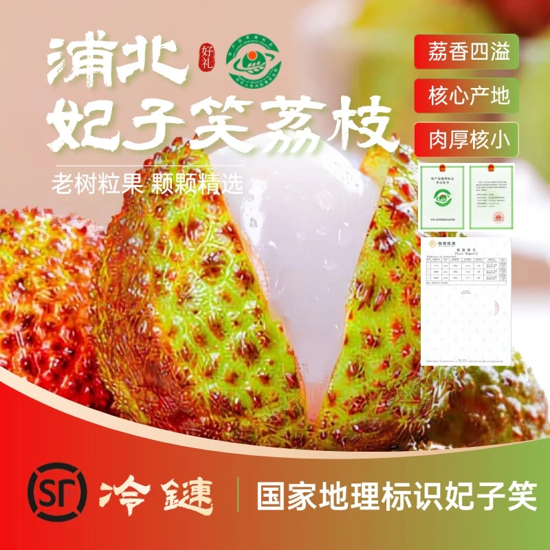 【浦北·妃子笑】新鲜现摘广东妃子笑荔枝孕妇应季