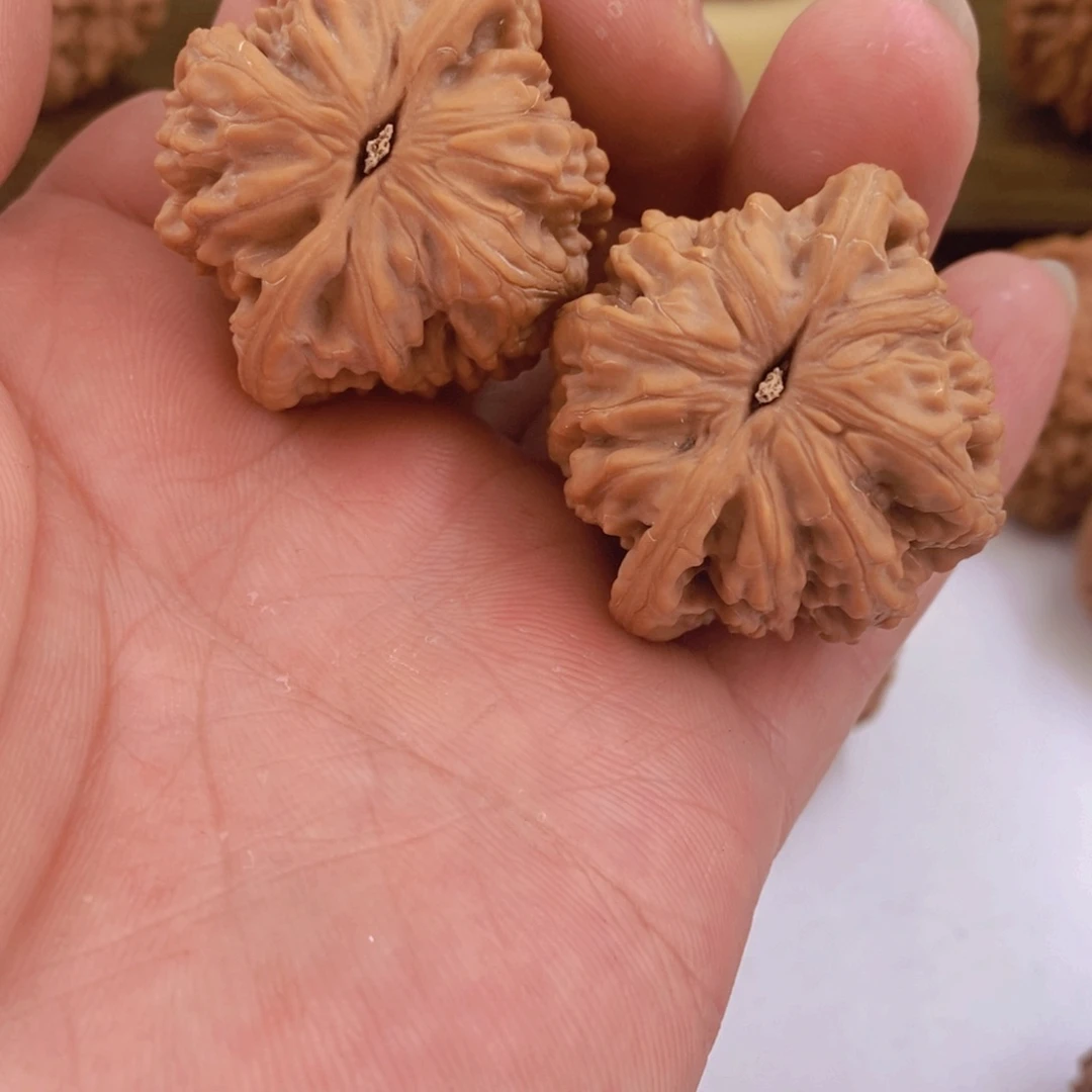 文玩核桃把件?*廉文玩核桃