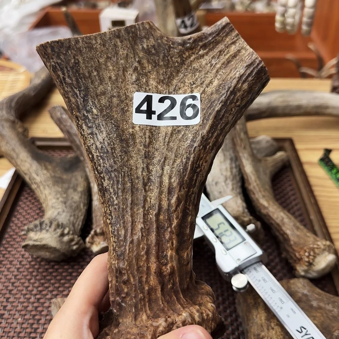 鹿骨手串/手链426弹弓19*13.6*4.8cm