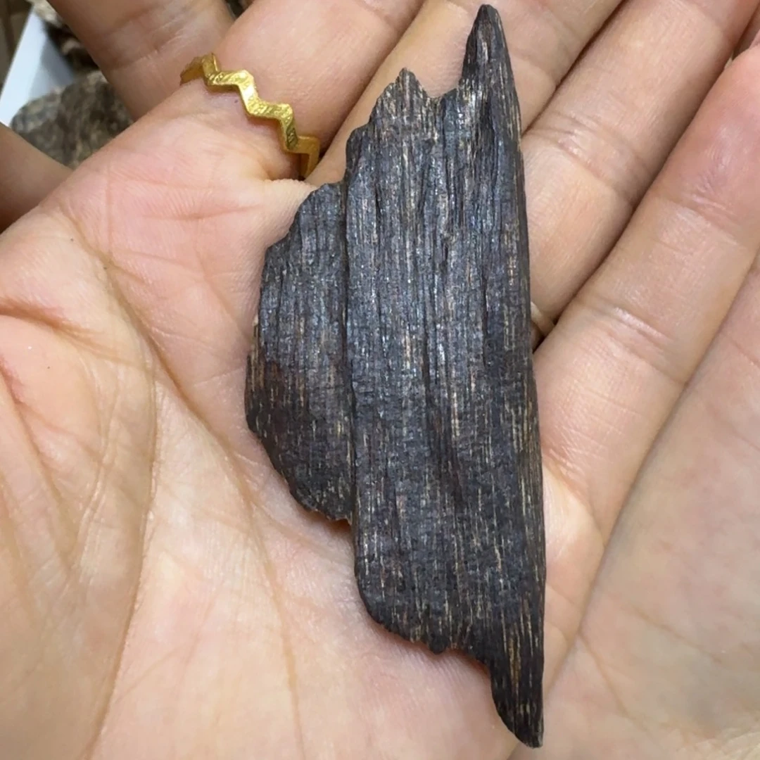 沉香碎屑沉香海南沉香高油瓜子虫漏4.8克