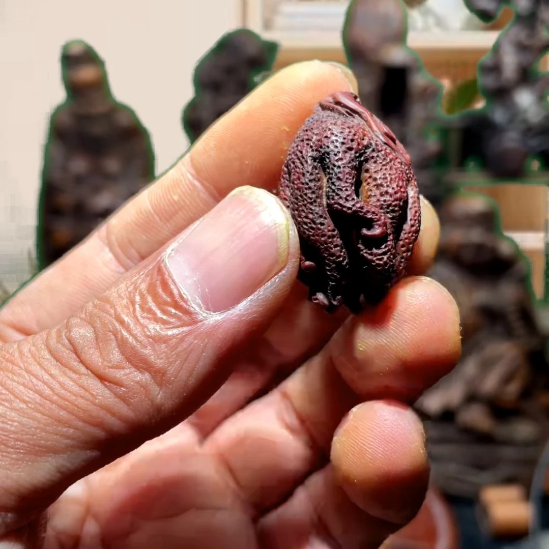 竹热闹矛盾问题不大不小的