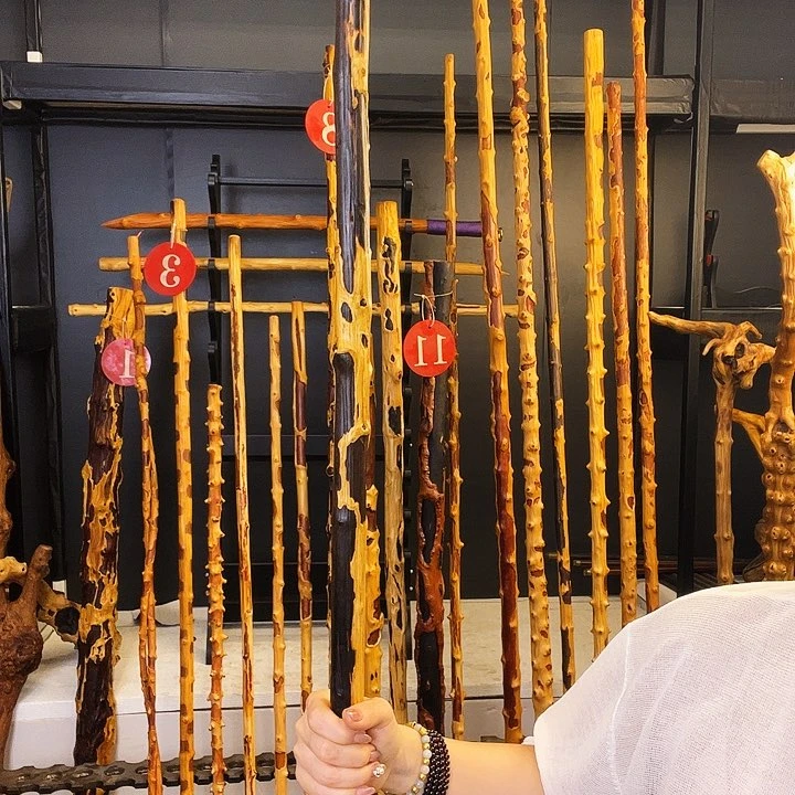 琴**生好好好好好好好好