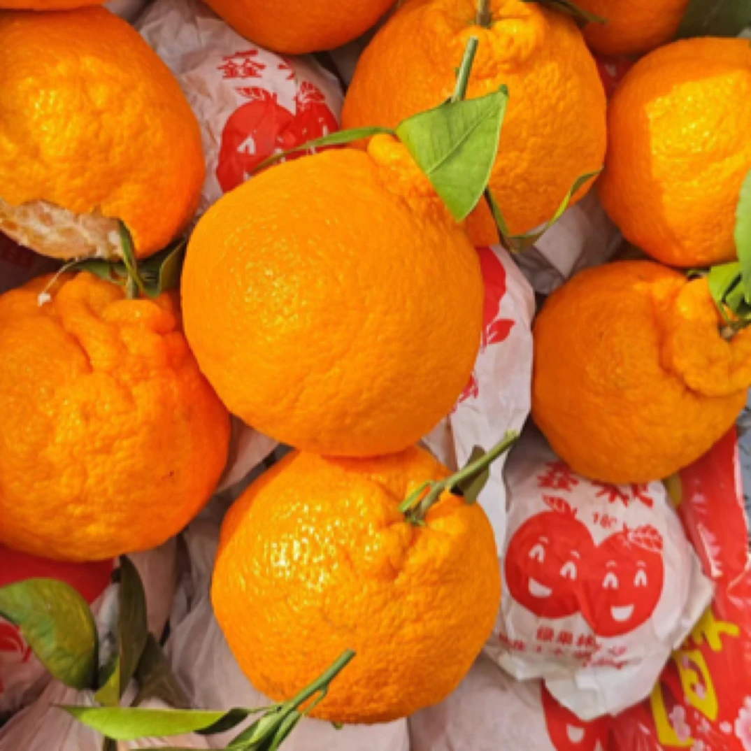 产地，四川春见丑橘粑粑柑，4.8-5.1斤，耙耙柑吉林省长春市