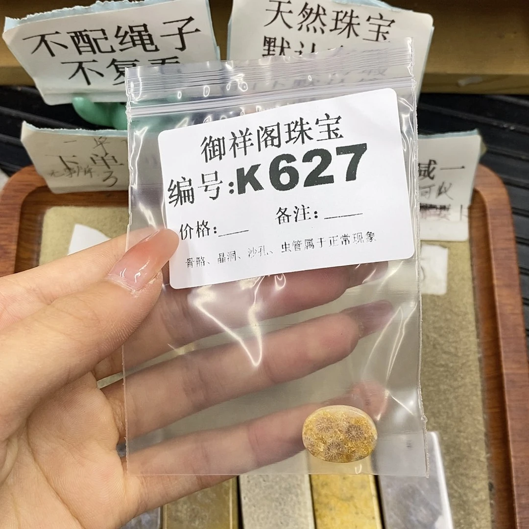 硅化珊瑚（珊瑚玉）未镶嵌颈饰活*