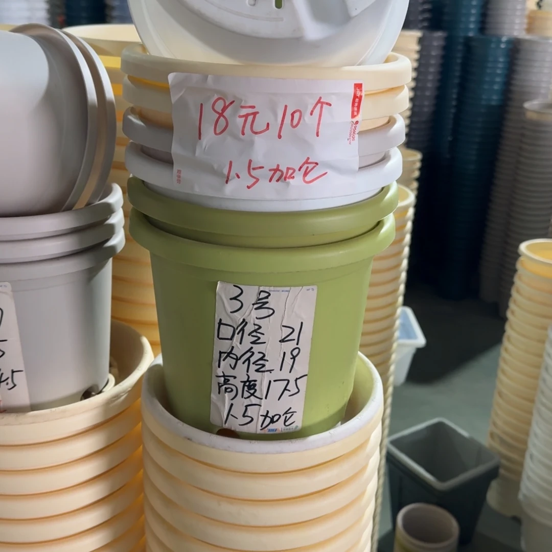 四季3#口径21无拖果绿10个