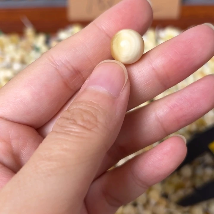 蜜蜡未镶嵌裸石12.8mm一个